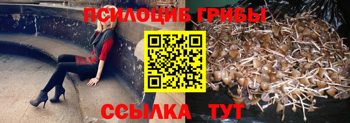 Псилоцибиновые грибы прущие грибы Карпинск
